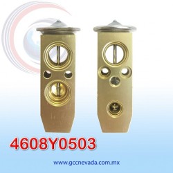 VALVULA G/M AVEO AÑO 11/16 EXP/BLOCK NEVADA ASIA | GCC NEVADA