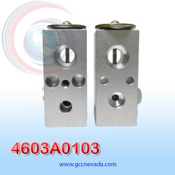 VALVULA CHRYSLER NEON DE EXP/BLOCK AÑO 03/04 ASIA | GCC NEVADA