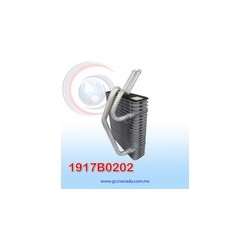EVAPORADOR RENAULT CLIO / KANGOO / SYMBOL AÑO 05/08 / NISSAN PLATINA 06/08 R-134-A(FINO) NEVADA ASIA | GCC NEVADA