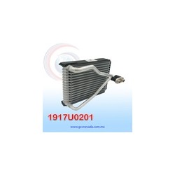EVAPORADOR RENAULT KWID AÑO 17/20 NEVADA ASIA | GCC NEVADA